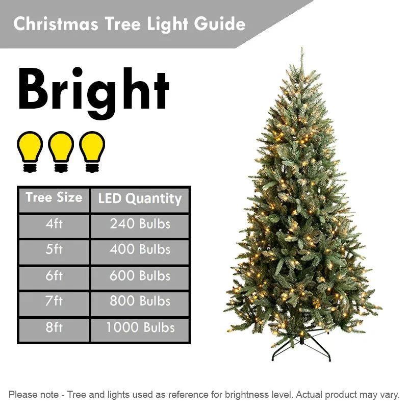 2 Foot Burlap Base Christmas Tree Artificial - White Frosted Green Ornament 68 Tips