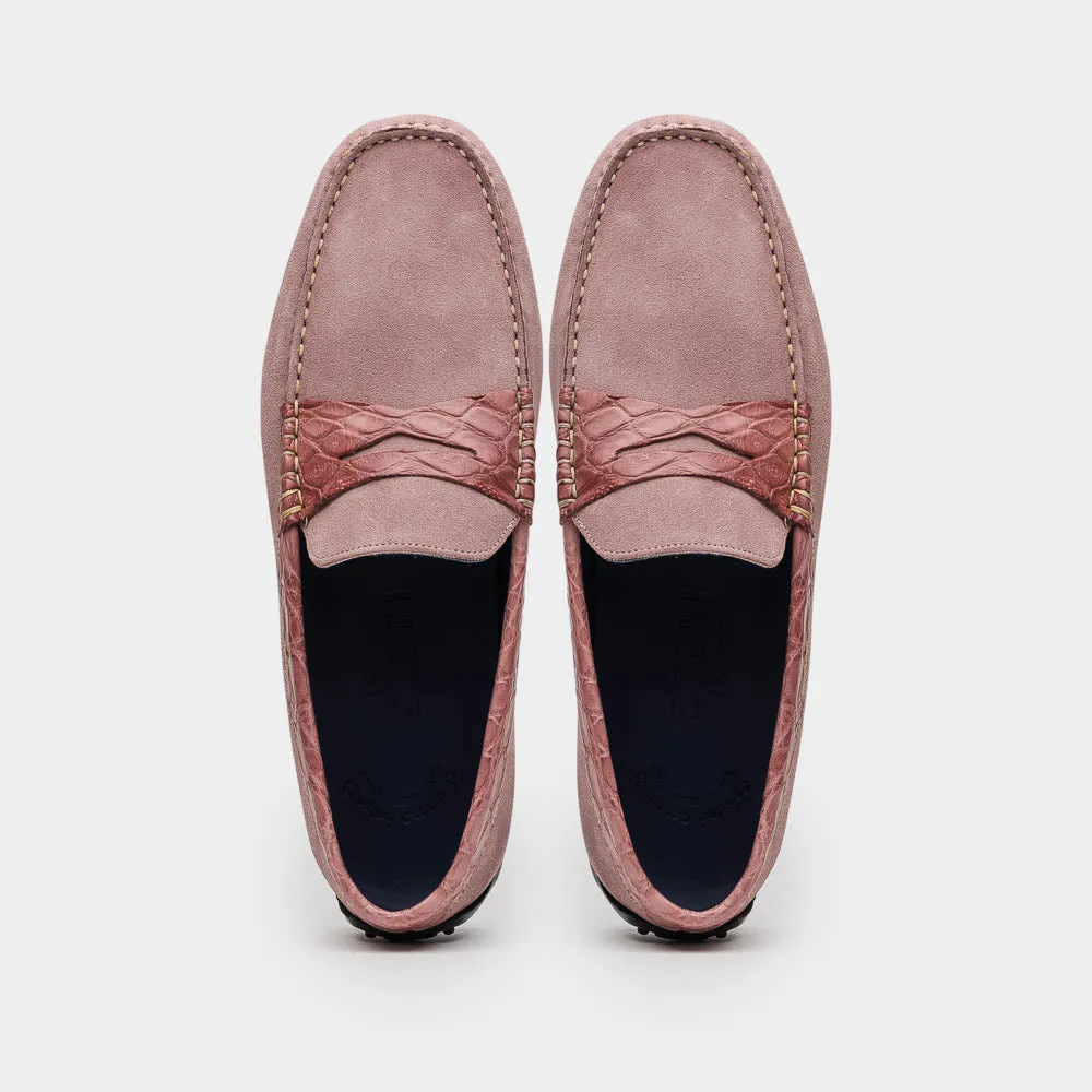 31-160-CDY MONZA Sueded Calfskin with Crocodile Driver Candy