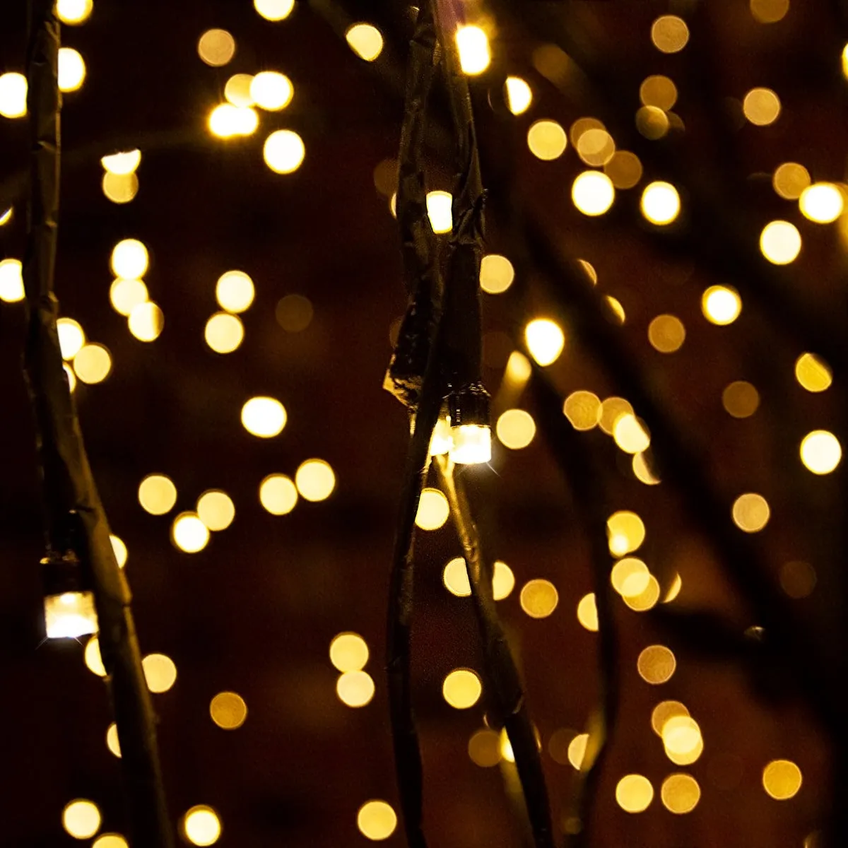 3ft Willow Christmas Tree Light Feature Black with LED Lights Warm White