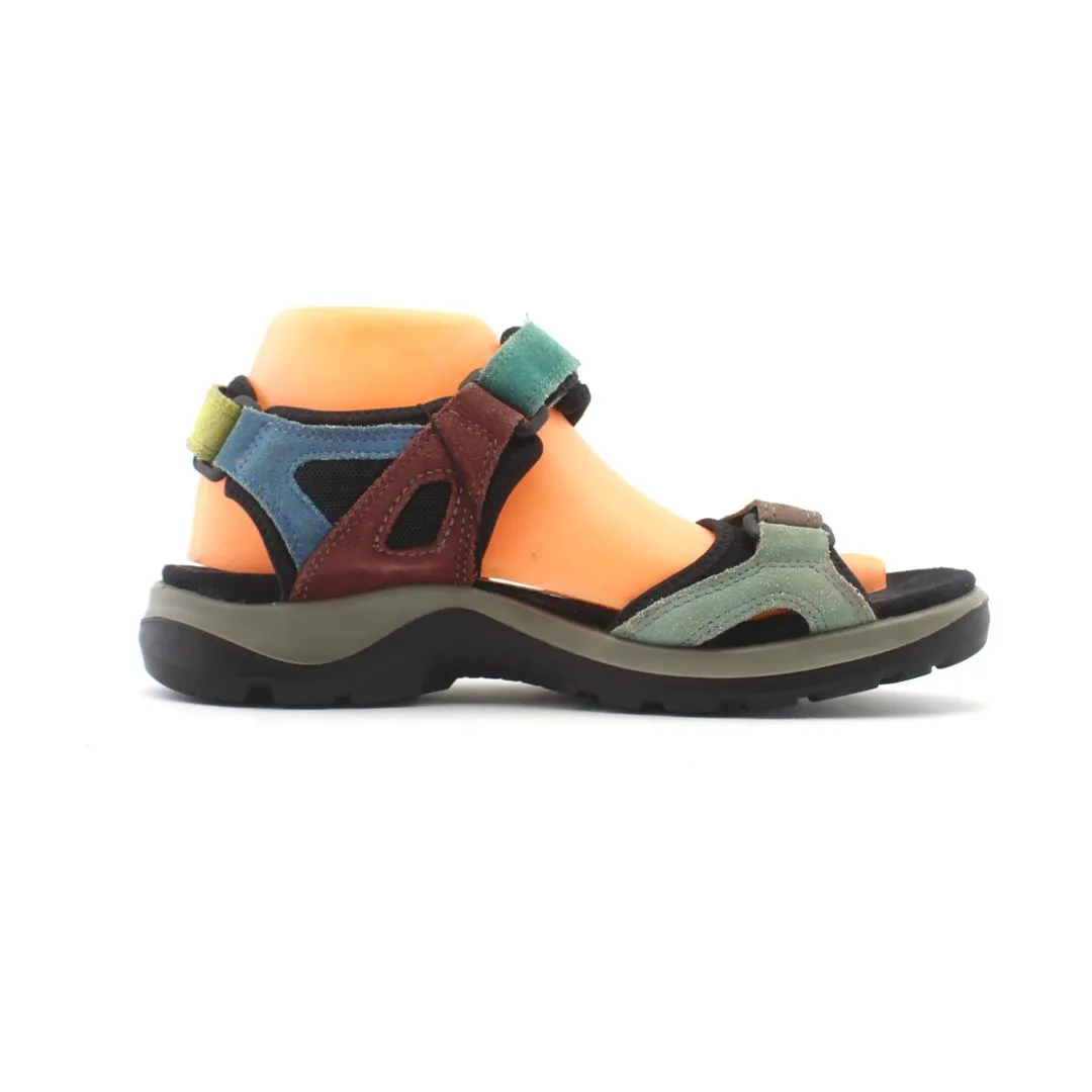 ECCO 10 YEAR OFF ROAD