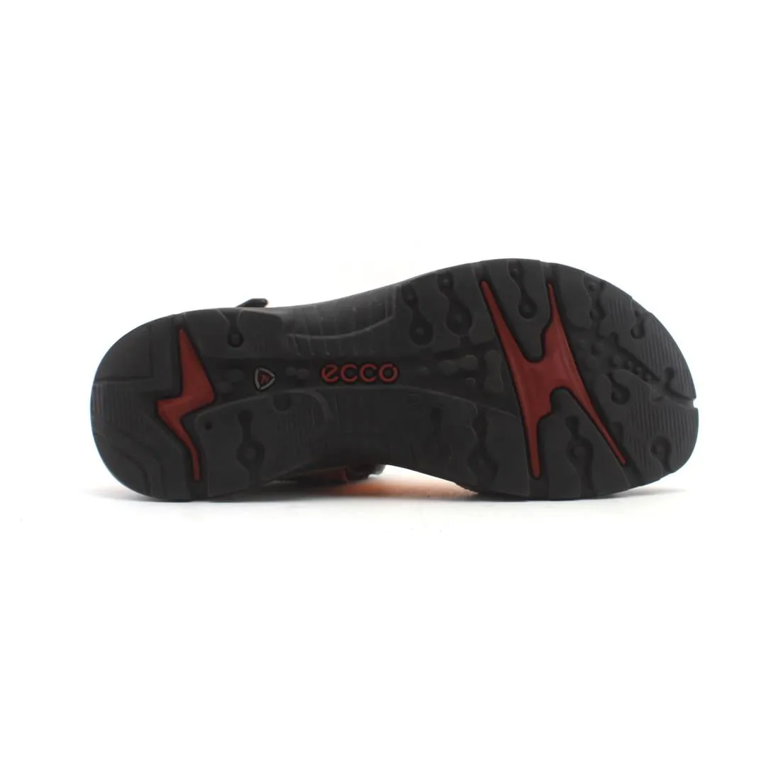 ECCO 10 YEAR OFF ROAD