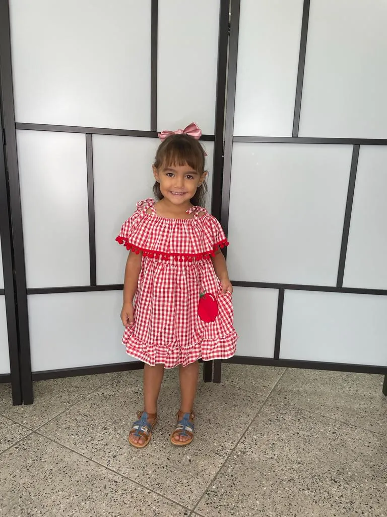 Girls Apple Gingham Dress