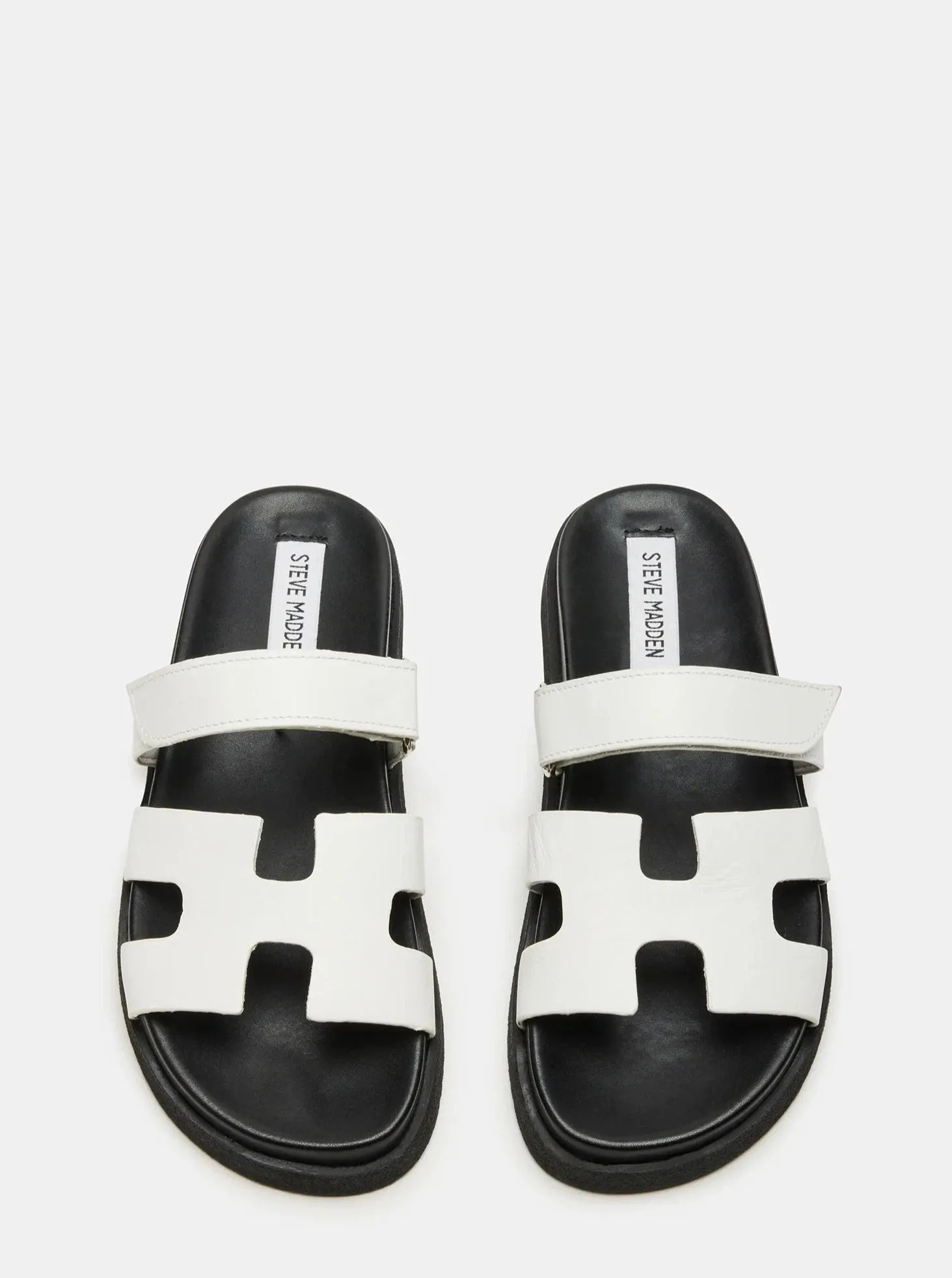 Mayven Steve Madden [Wht/Blk-MAYV01S1]