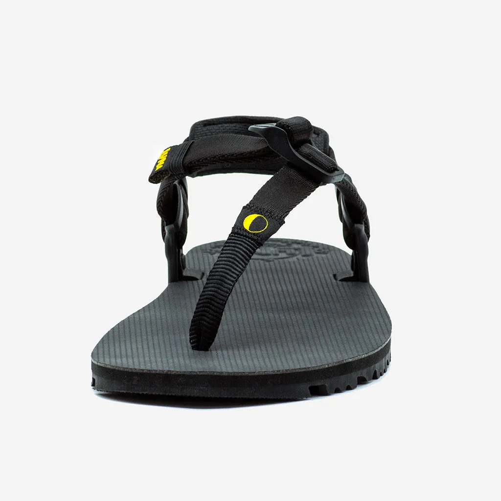 Oso Flaco Winged Edition 🇺🇸 - Black
