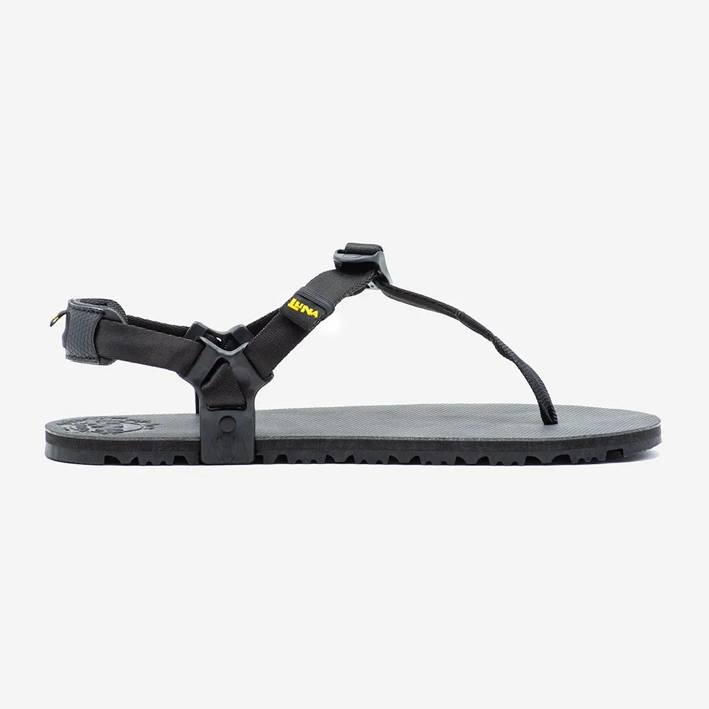 Oso Flaco Winged Edition 🇺🇸 - Black