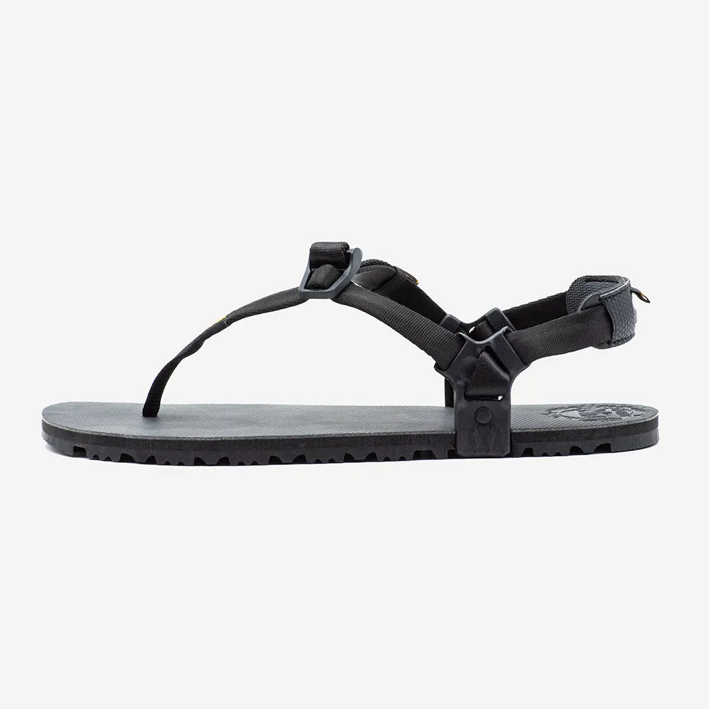 Oso Flaco Winged Edition 🇺🇸 - Black