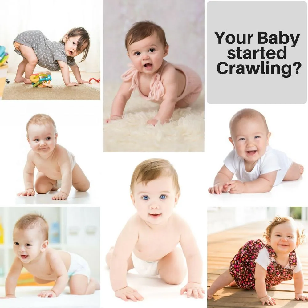 Shoppy Baby Anti-Slip Crawling Kneepads